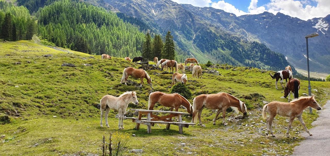 Gastehaus Landhaus Tyrol Hotell Gries im Sellrain Exteriör bild